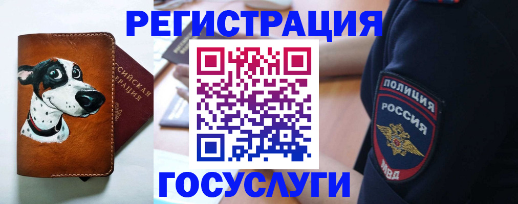 временная регистрация в квартире в Норильске